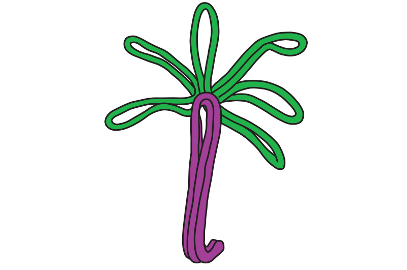 Wikki Stix 3-D Palm Tree