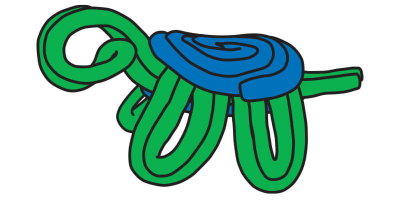 Wikki Stix 3-D Turtle