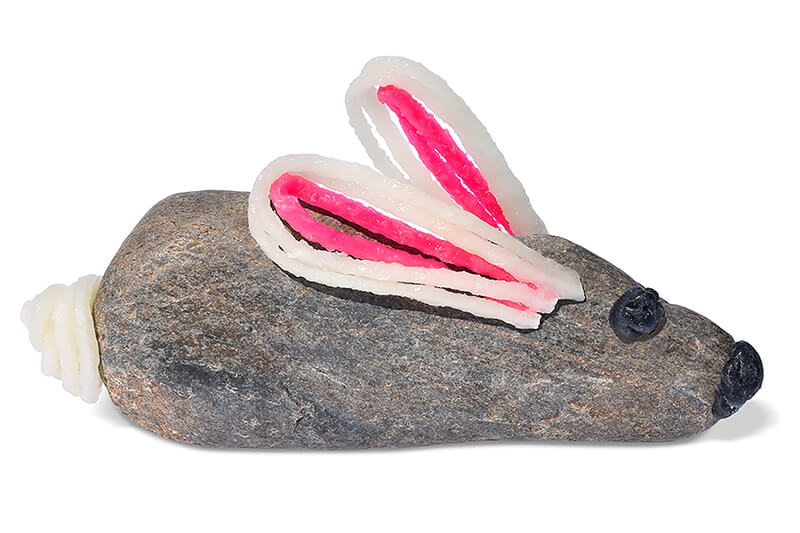 Rock with Wikki bunny ears, nose, and tail.