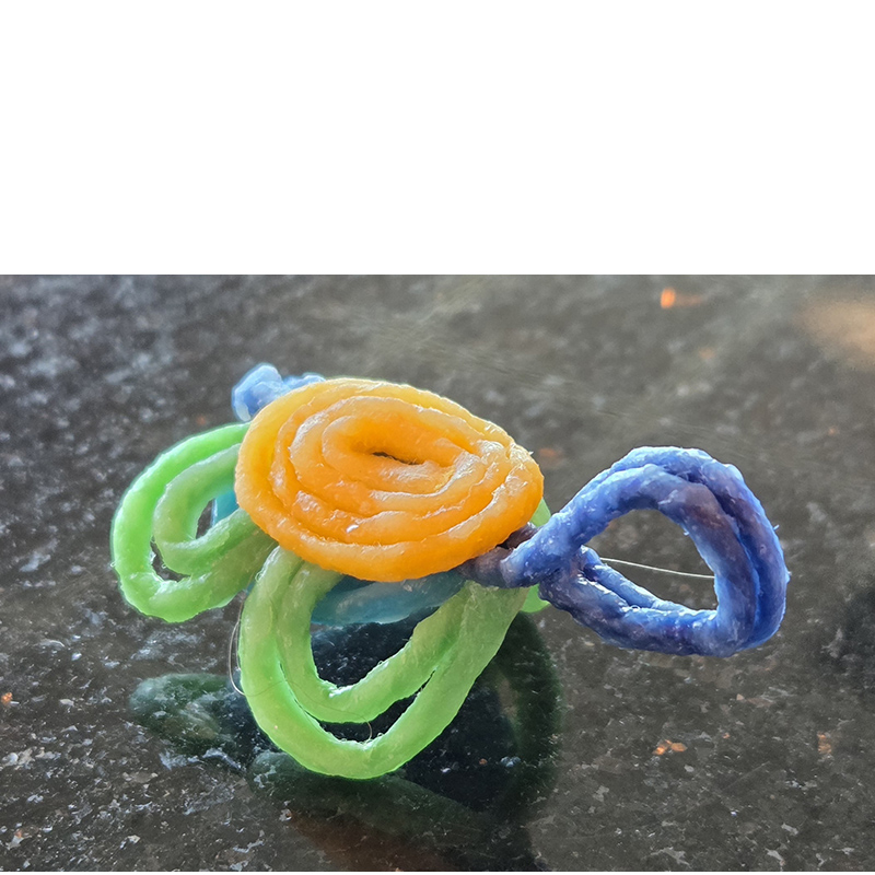 Turtle created with Wikki Stix.