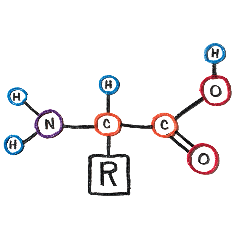 Amino Acids DNA Formula.