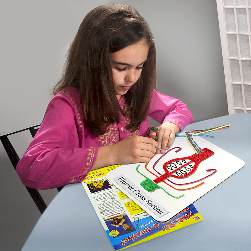 Girl with new the Student Workboard set!