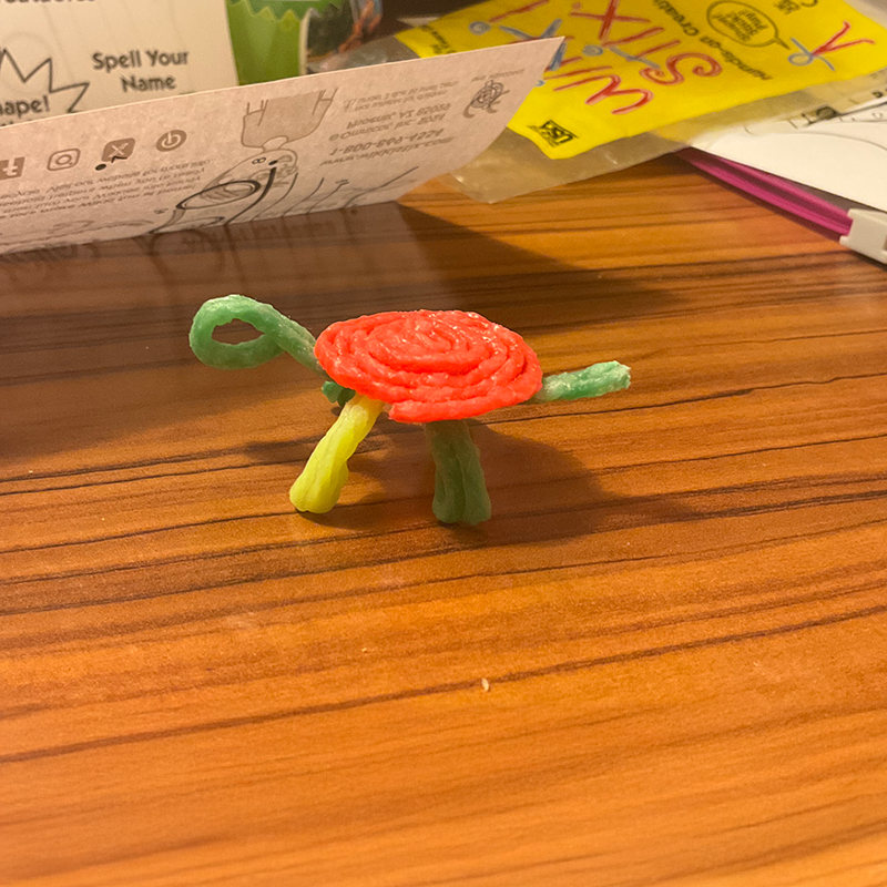 Turtle created with Wikki Stix.