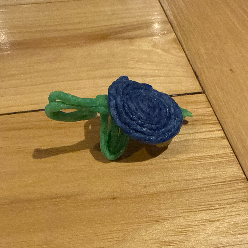 Turtle created with Wikki Stix!